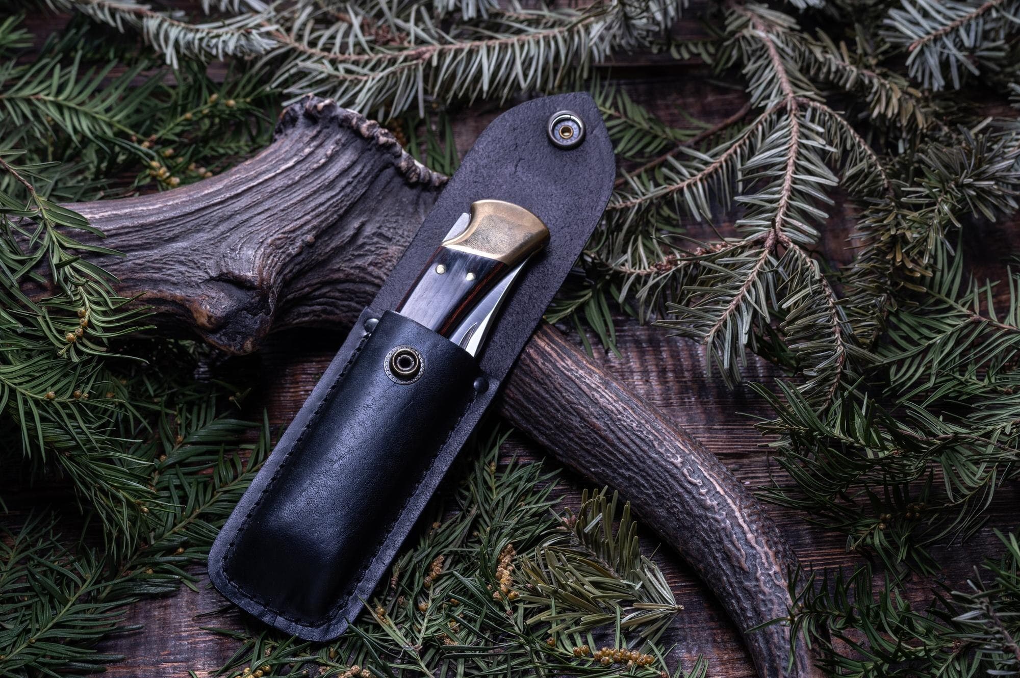 Hunting knife resting in a leather sheath